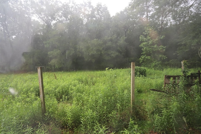 345 Byrd St, Vidor, TX 77662 - view of yard with a view of trees
