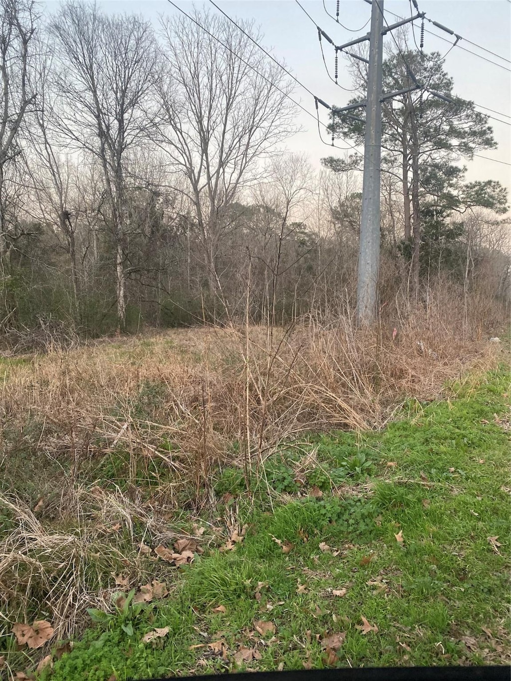 0 Maple St, Daisetta, TX 77533