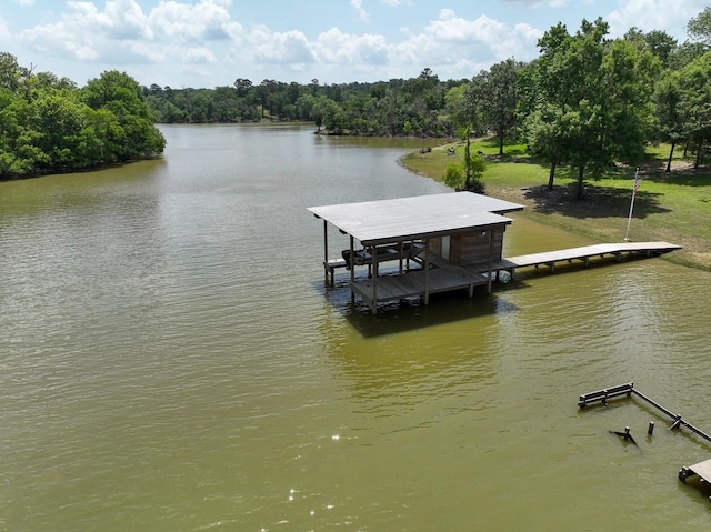 18 Joe Werner Ln, Huntsville, TX 77320 - dock featuring a water view