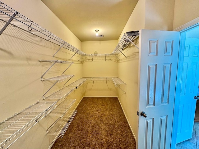 18 Joe Werner Ln, Huntsville, TX 77320 - spacious closet with carpet flooring