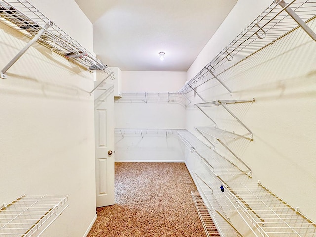 18 Joe Werner Ln, Huntsville, TX 77320 - spacious closet with carpet