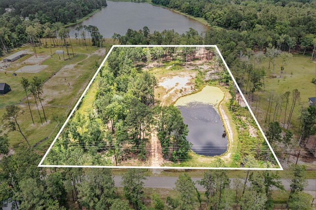 10114 Woodlane Blvd, Magnolia, TX 77354 - photo 1