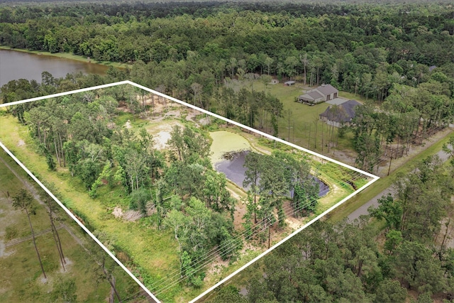 10114 Woodlane Blvd, Magnolia, TX 77354 - photo 2