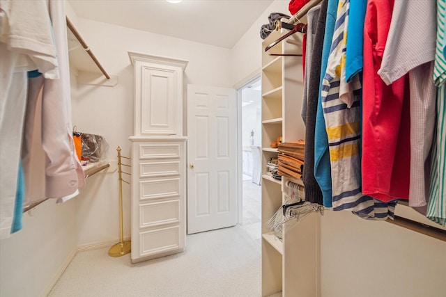 2214 Potomac Dr Unit 2, Houston, TX 77057 - walk in closet with carpet