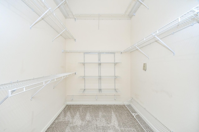 2100 Welch St Unit C305, Houston, TX 77019 - walk in closet featuring carpet flooring