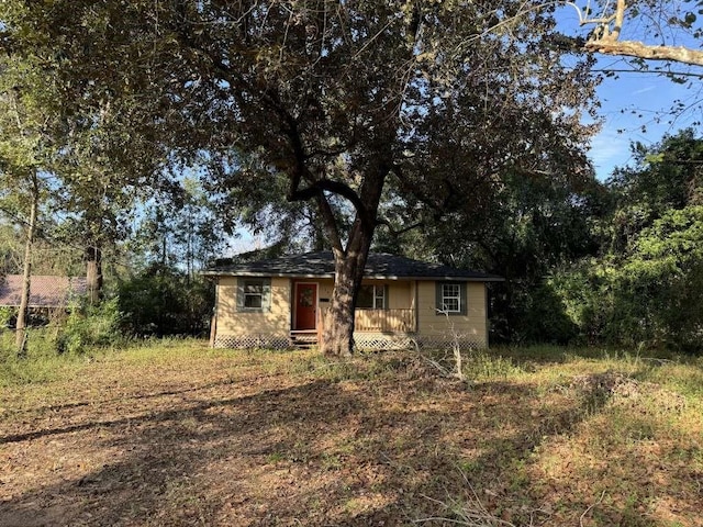 767 County Road 370, Splendora, TX 77372 - photo 1