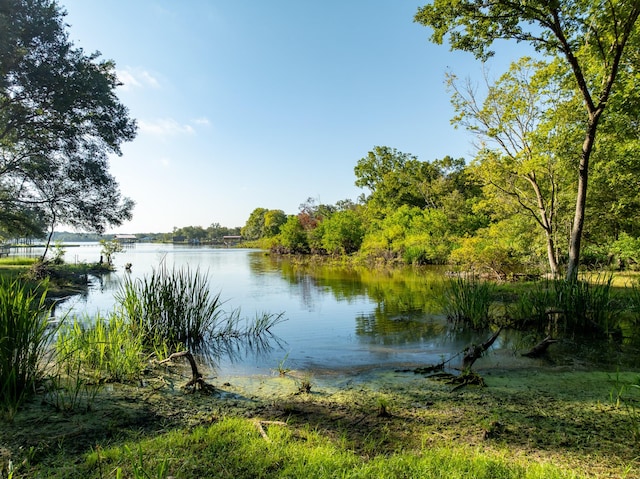 TBD County Road 750, Thornton, TX 76687
