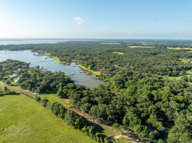 TBD County Road 750, Thornton, TX 76687