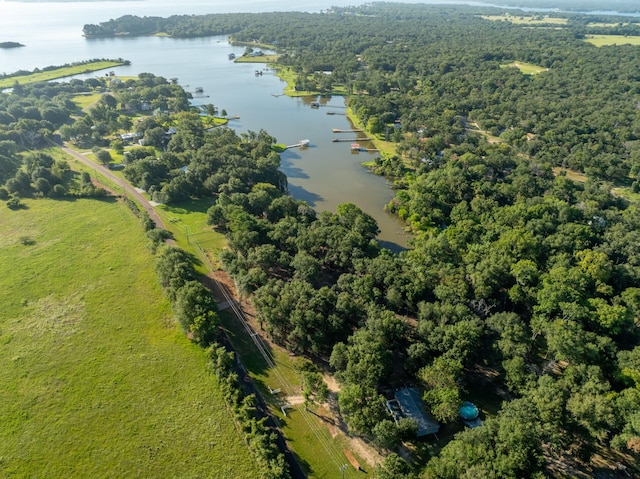TBD County Road 750, Thornton, TX 76687