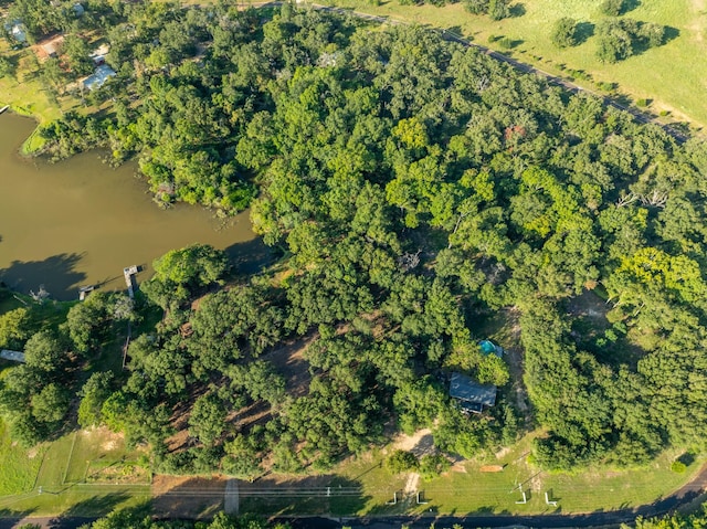 TBD County Road 750, Thornton, TX 76687