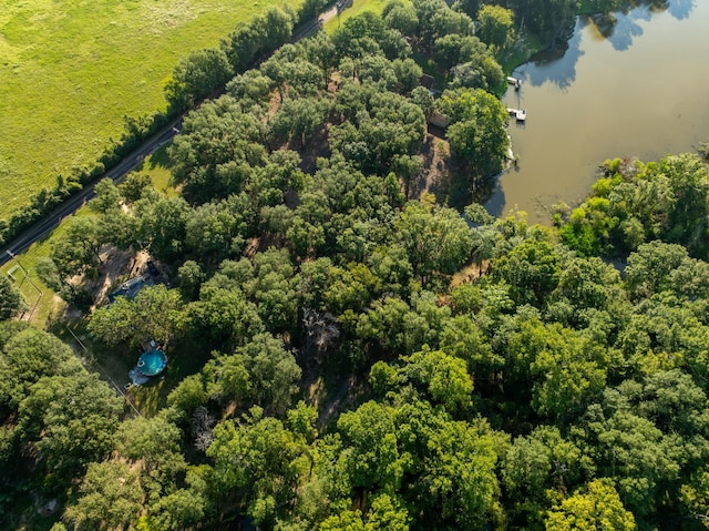 TBD County Road 750, Thornton, TX 76687