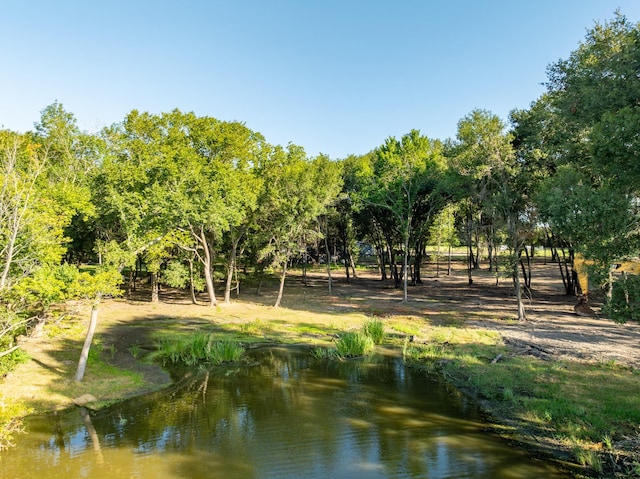 TBD County Road 750, Thornton, TX 76687