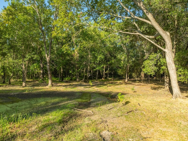 TBD County Road 750, Thornton, TX 76687