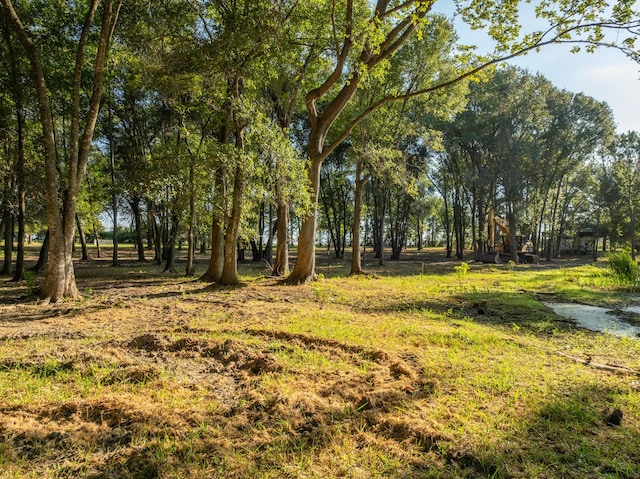 TBD County Road 750, Thornton, TX 76687