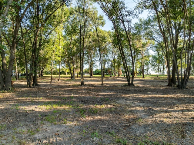 TBD County Road 750, Thornton, TX 76687