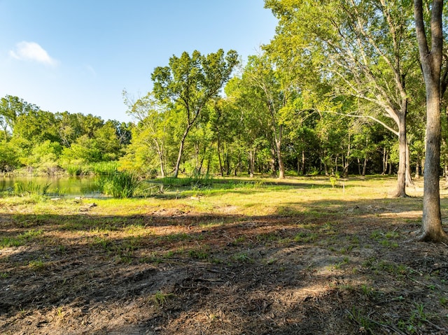 TBD County Road 750, Thornton, TX 76687