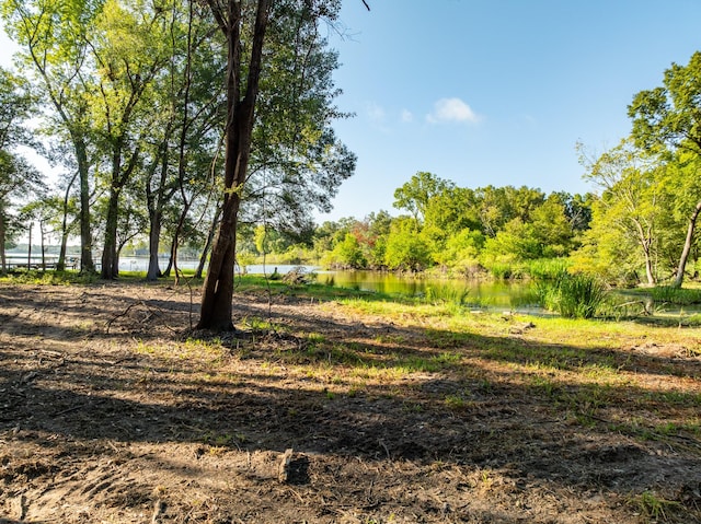 TBD County Road 750, Thornton, TX 76687