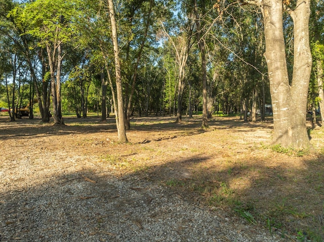 TBD County Road 750, Thornton, TX 76687