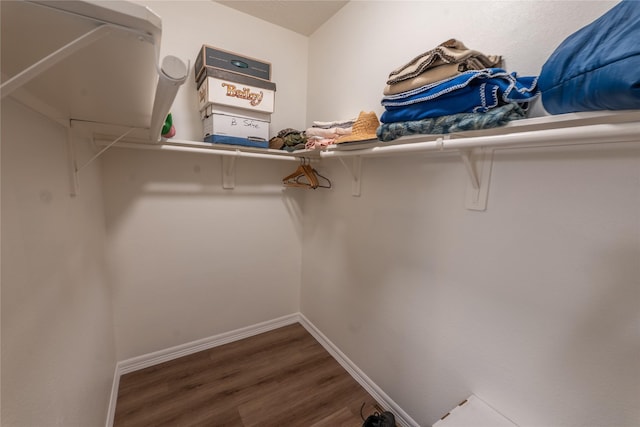 3017 Cambridge Meadows Ln, Dickinson, TX 77539 - spacious closet featuring wood finished floors