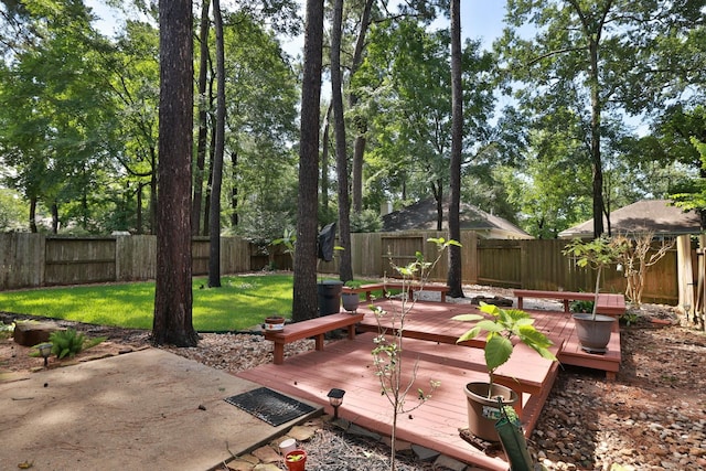 19 Almond Branch Pl, The Woodlands, TX 77382 - view of patio featuring a wooden deck