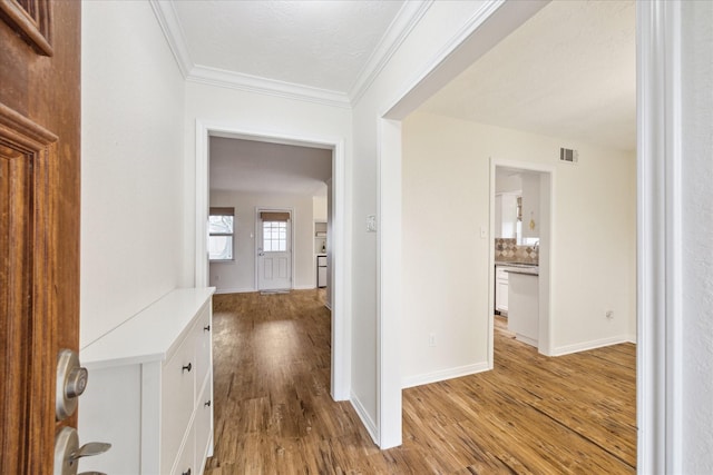 507 Williamsport St, League City, TX 77573 - hall featuring light wood-type flooring, ornamental molding, and baseboards