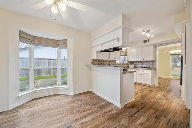507 Williamsport St, League City, TX 77573 - kitchen with white cabinets, tasteful backsplash, light wood-type flooring, a ceiling fan, and a peninsula