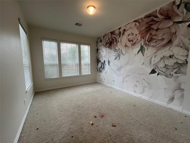 31909 Mckinley Run Dr, Hockley, TX 77447 - carpeted spare room featuring baseboards