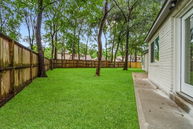 9 Indian Cedar Ln, The Woodlands, TX 77380 - view of yard