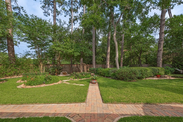 13719 Highland Cove Dr, Houston, TX 77070 - view of yard with view of wooded area