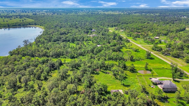 1215 China Grove Dr, Rosharon, TX 77583