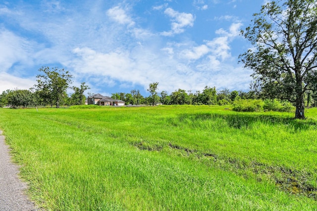 1215 China Grove Dr, Rosharon, TX 77583