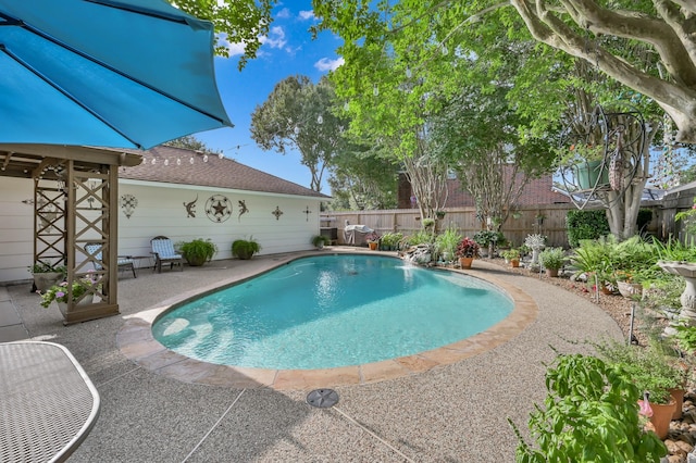 17419 Crescent Canyon Dr, Houston, TX 77095 - view of swimming pool with a patio and a fenced backyard