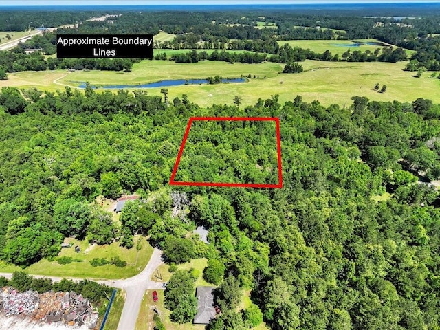 L16700 Bill Jones Rd, Lufkin, TX 75901 - photo 1