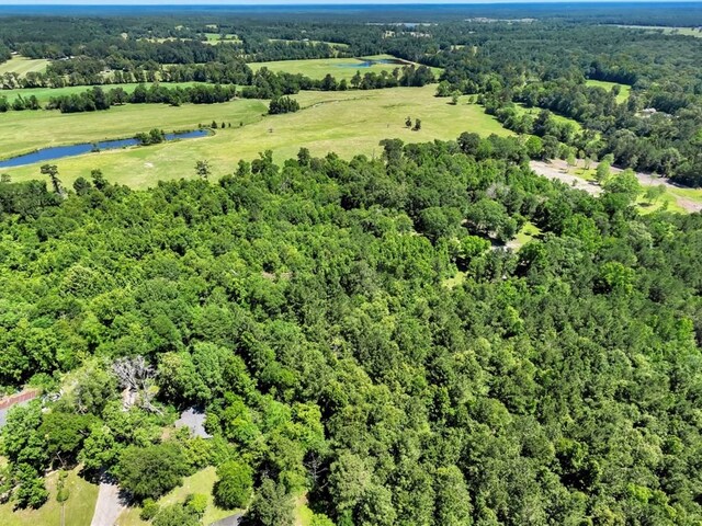 L16700 Bill Jones Rd, Lufkin, TX 75901 - photo 3