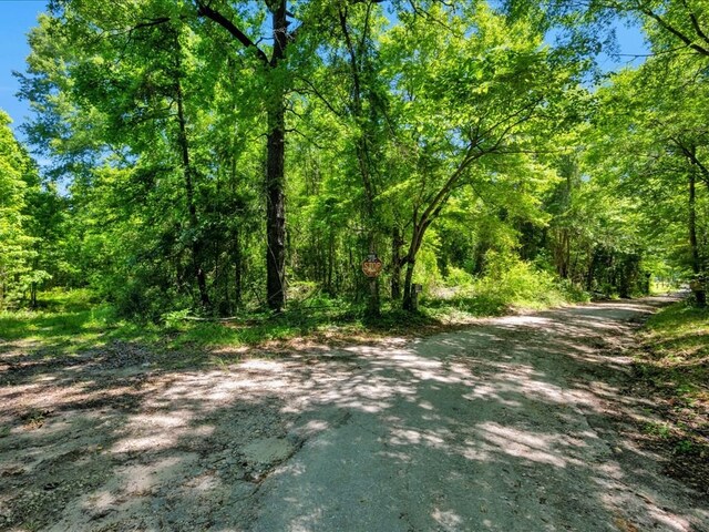 L16700 Bill Jones Rd, Lufkin, TX 75901 - photo 4