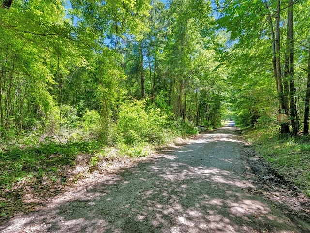 L16700 Bill Jones Rd, Lufkin, TX 75901 - photo 5