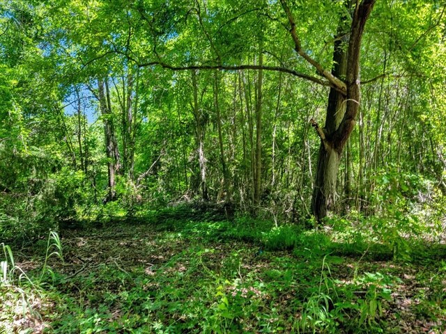 L16700 Bill Jones Rd, Lufkin, TX 75901 - photo 6