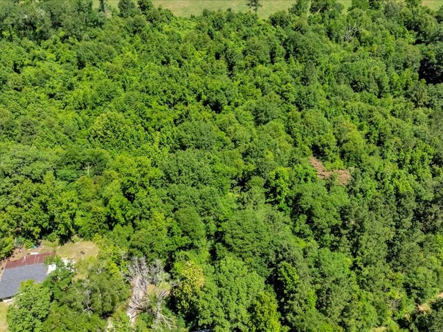 L16700 Bill Jones Rd, Lufkin, TX 75901 - photo 10