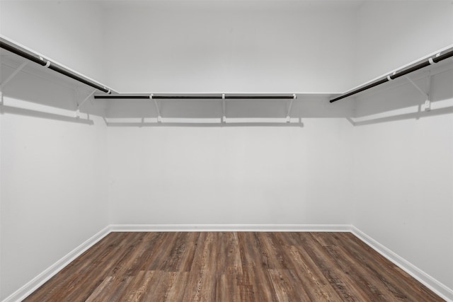 18202 Fehmarn Sound Cir, Houston, TX 77044 - spacious closet featuring dark wood-style floors