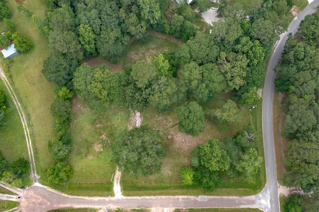 17396 Woods Dr, New Caney, TX 77357