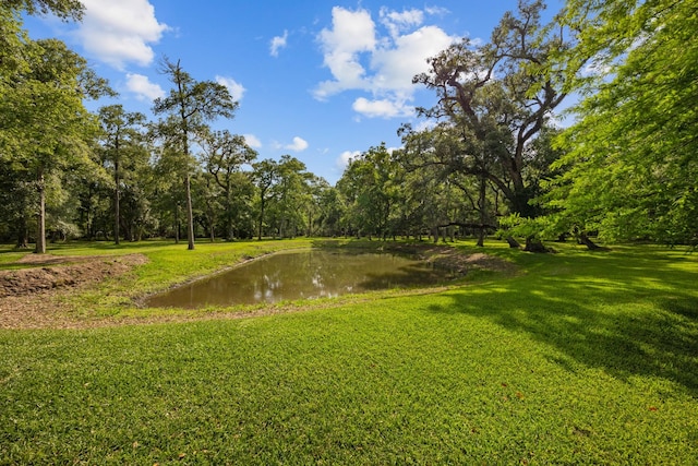 18206 River Oaks Rd, Damon, TX 77430 - photo 36