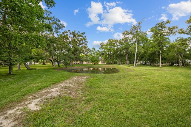 18206 River Oaks Rd, Damon, TX 77430 - photo 37