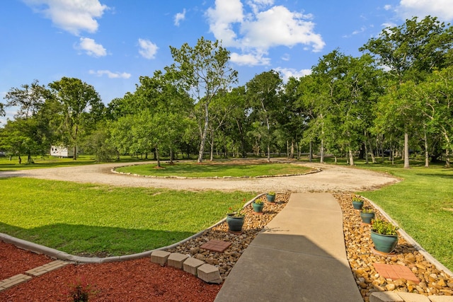 18206 River Oaks Rd, Damon, TX 77430 - photo 38