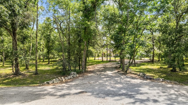18206 River Oaks Rd, Damon, TX 77430 - photo 43