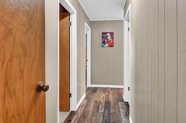 6720 Kacal Rd, Beasley, TX 77417 - hallway featuring dark wood-type flooring, baseboards, crown molding, and wooden walls