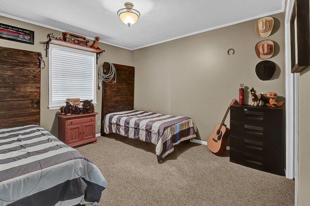 6720 Kacal Rd, Beasley, TX 77417 - bedroom with carpet, crown molding, and baseboards
