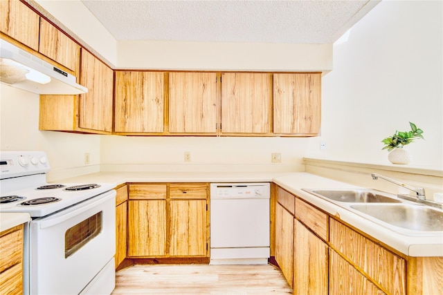 6103 Ludington Dr Unit 4-941, Houston, TX 77035 - kitchen with white appliances, exhaust hood, a sink, light wood-style flooring, and light countertops