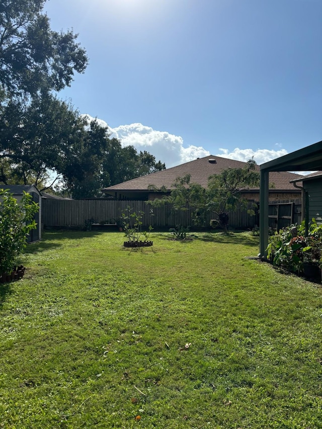1001 Ivy Ave, Deer Park, TX 77536 - view of yard