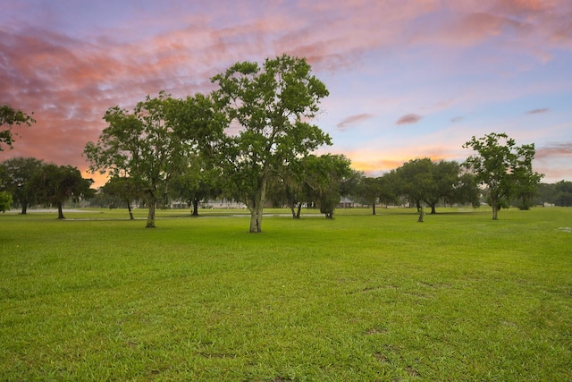 455 Green Meadows Dr, West Columbia, TX 77486 - view of grassy yard