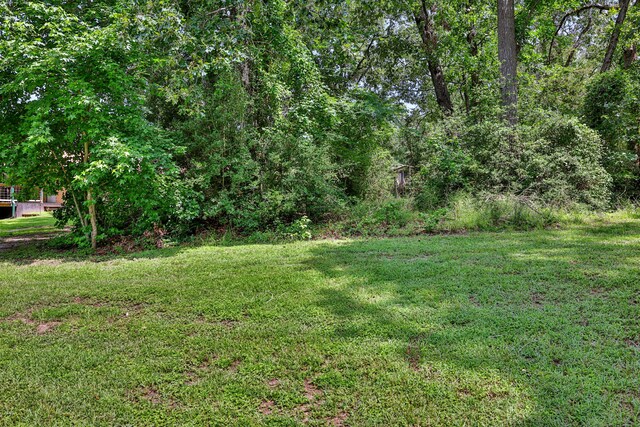 139 S Circle Dr, Livingston, TX 77351 - photo 6